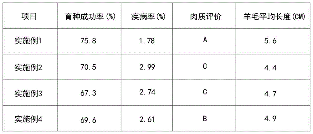 湖羊繁殖率图片