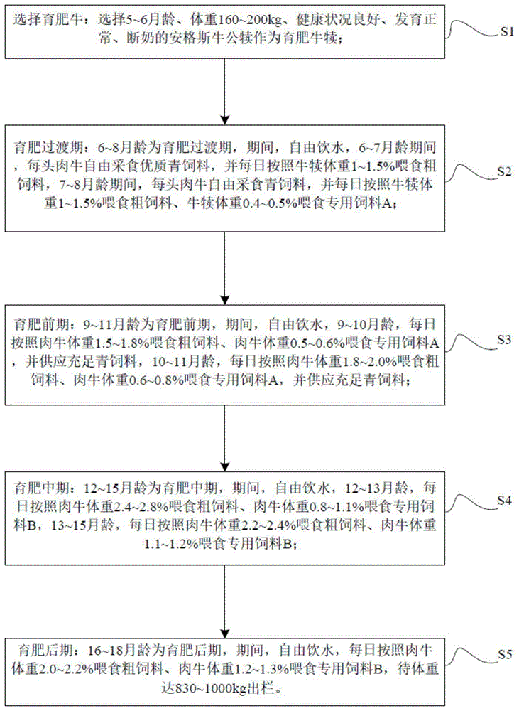 一种肉牛的育肥方法与流程