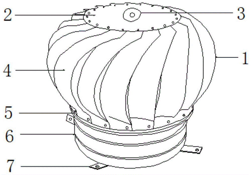 拔气风帽结构图图片