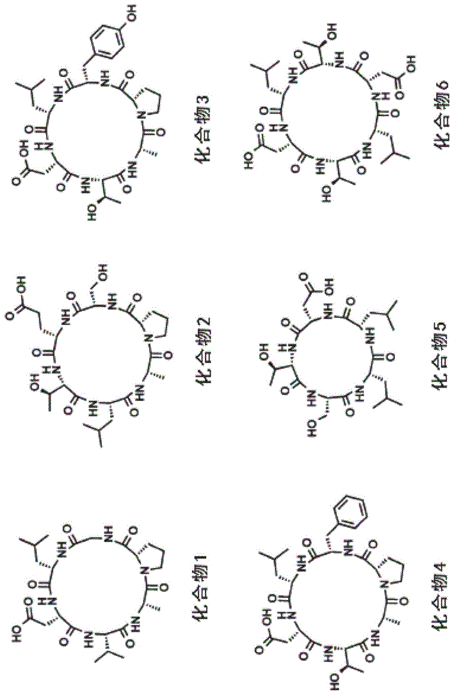 靶向α4β7整合素的均环肽的制作方法