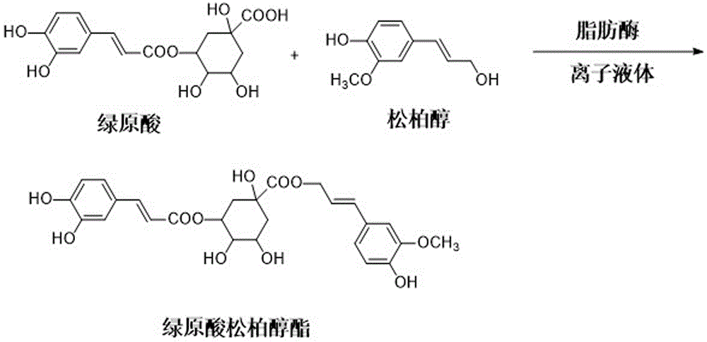 一种绿原酸松柏醇酯的酶法合成方法及其应用与流程