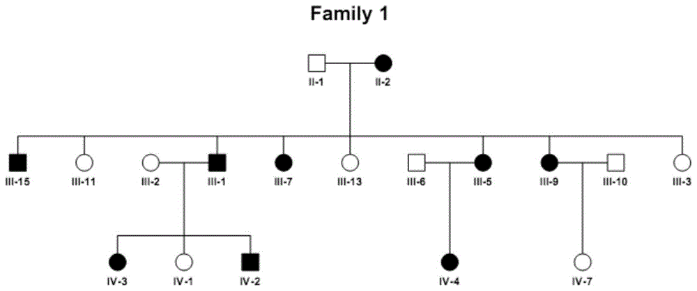 全科医学家系图的绘制图片