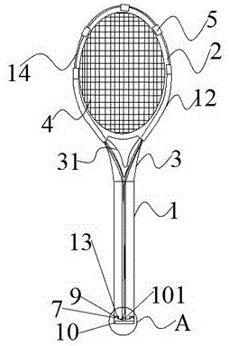 网球拍结构图解图片