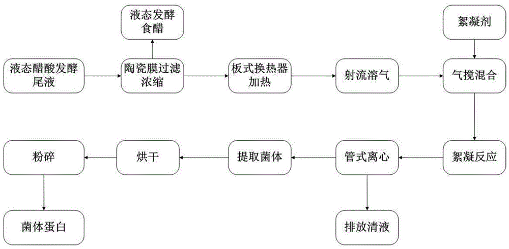 一种从液态醋酸发酵尾液中提取菌体蛋白的方法与流程