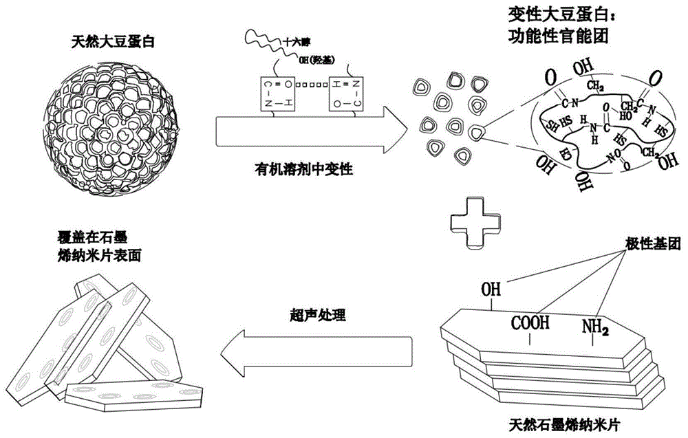 技術領域,尤其是涉及一種改性大豆蛋白及製備方法,納米填料和聚合物