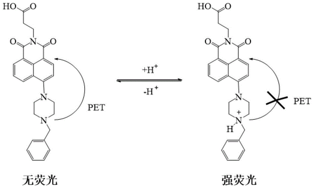 一種1,8-萘二甲酰亞胺衍生物及應用的製作方法