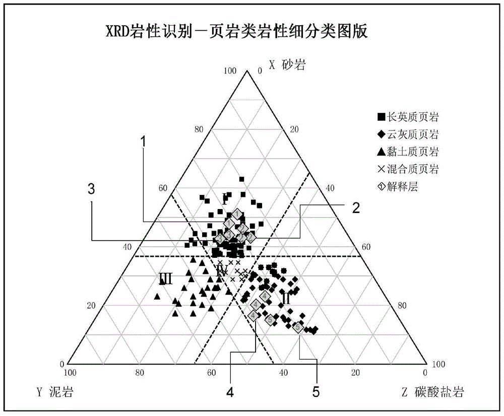 岩性溃疡图片