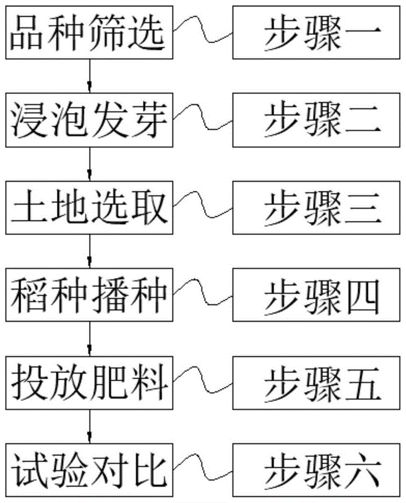 一種多點品水稻育種對比試驗方法與流程