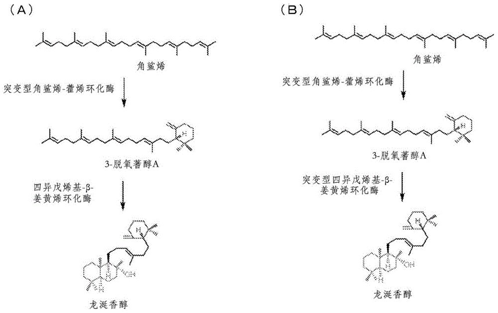 醇香探索揭秘张裕，一款引领中国红酒潮流的特制干红葡萄酒