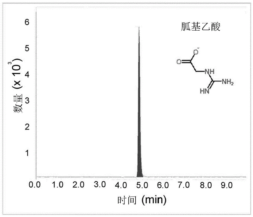 通過質譜法檢測和定量胍基乙酸,肌酸和肌酐的製作方法