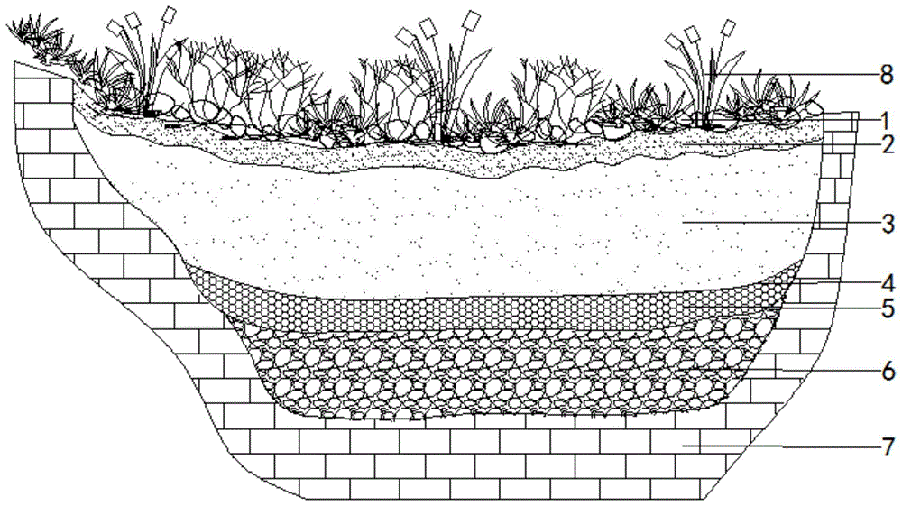 雨水花园剖面图手绘图片