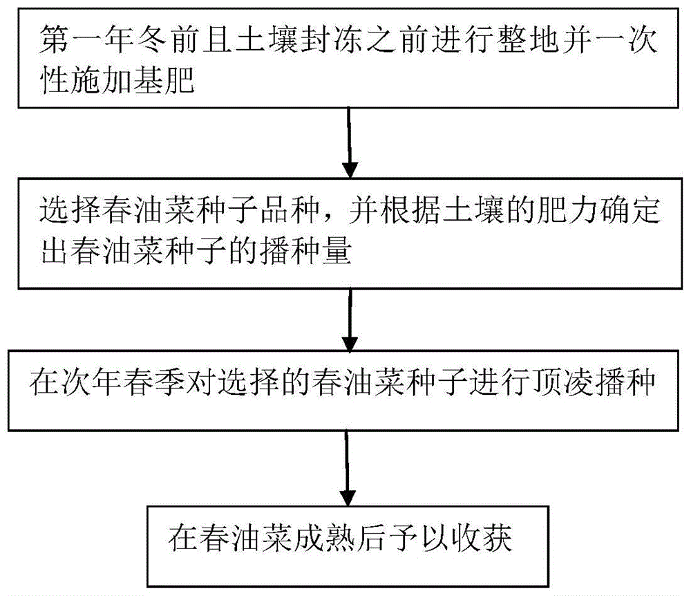 一種高海拔地區春油菜的種植方法與流程