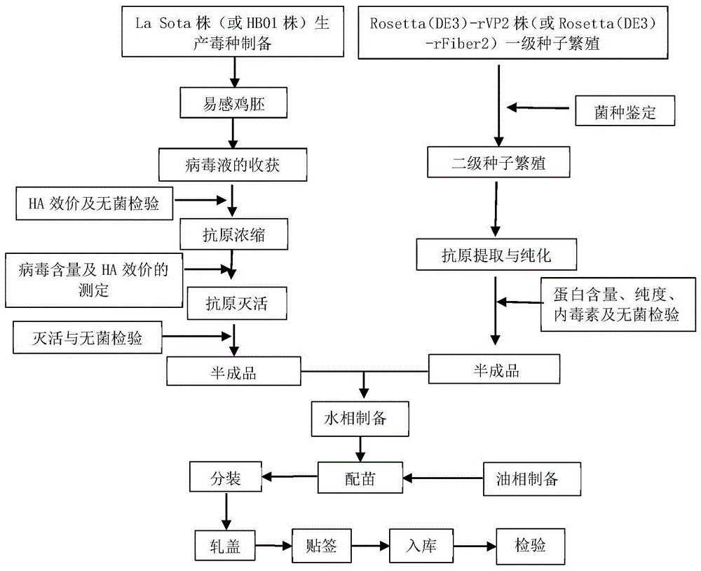 禽用四聯疫苗及其製備方法和應用與流程