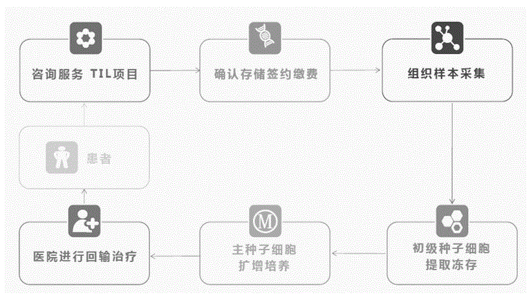 til肿瘤浸润淋巴细胞的存储方法与流程