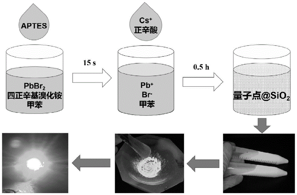 合成技術領域,涉及一種二氧化硅包覆的全無機鈣鈦礦核殼結構量子點的