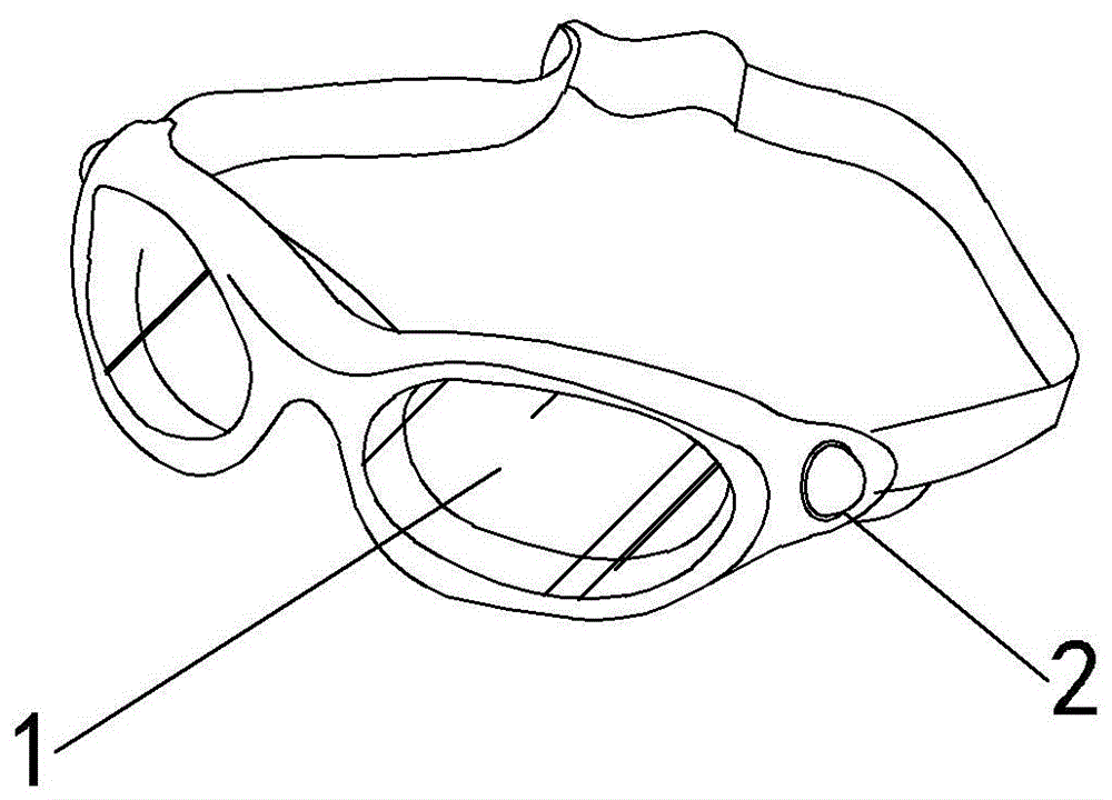 带闪光灯的游泳眼镜的制作方法