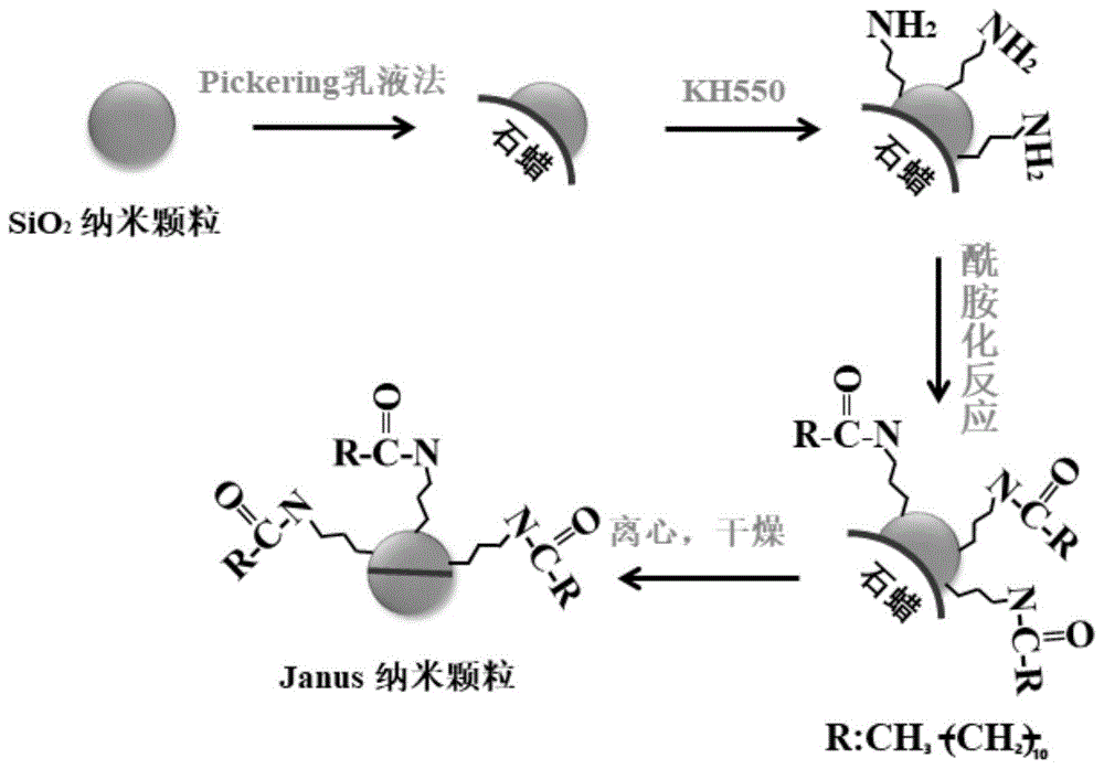 一种两亲性janus纳米颗粒及其制备方法和应用与流程