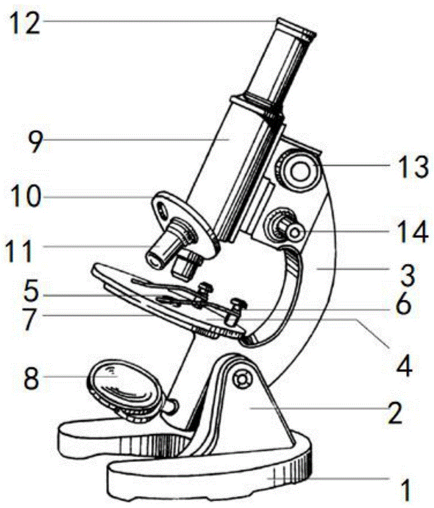 显微镜的结构 简笔画图片