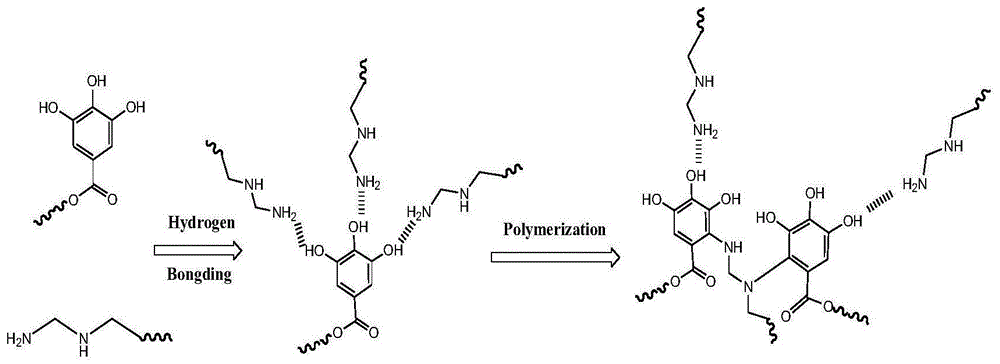 一种单宁-聚乙烯亚胺复合材料及其用途的制作方法