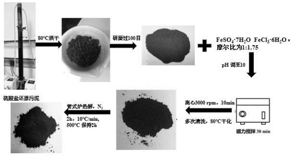 一種基於硫酸鹽還原汙泥的磁性生物炭吸附材料及其製備方法和應用與