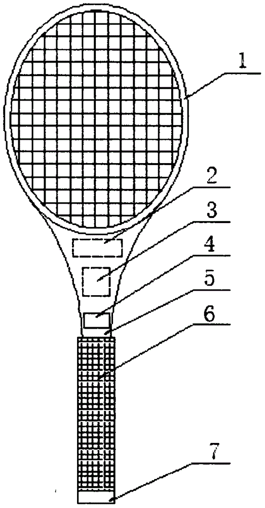 网球拍结构图解图片