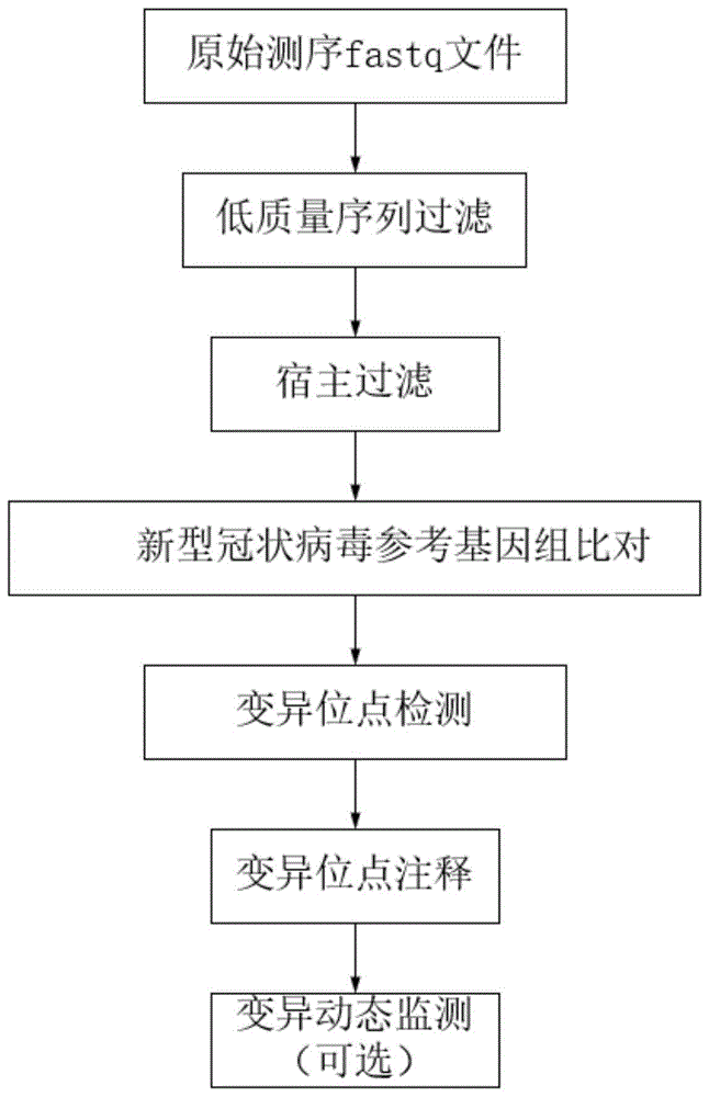 新型冠状病毒变异过程图片