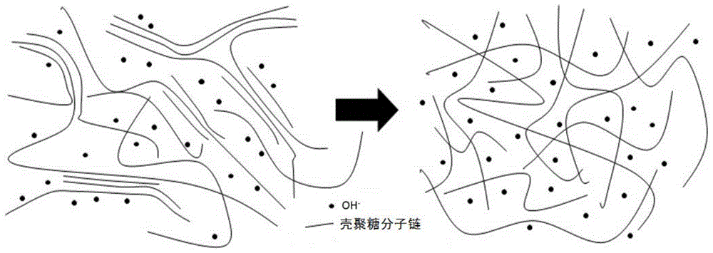 羧甲基壳聚糖结构图片