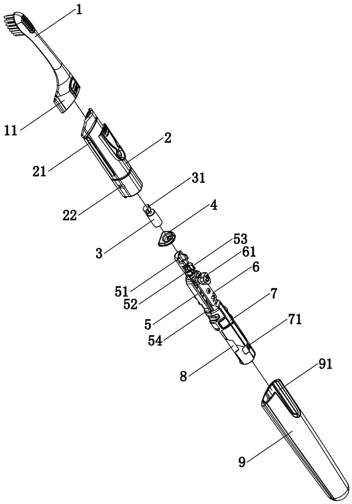 电动牙刷刷头结构图片