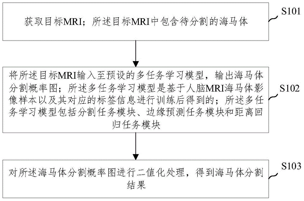 核磁共振影像海馬體分割方法及裝置與流程