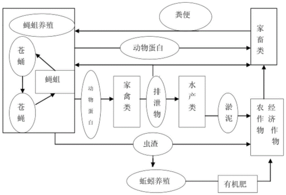 生态养殖循环流程图图片