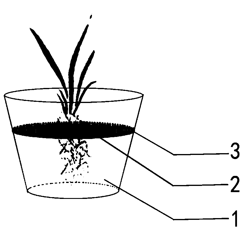 背景技术:根系是影响植物生长发育的重要结构,植物主要依靠根系从土壤