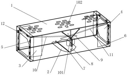 捕鼠笼 原理图片