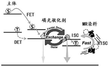 一种有机电致发光器件和显示装置