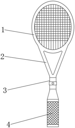 网球拍结构图解图片