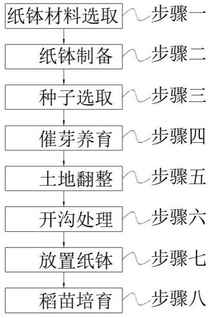 水稻育苗流程图片