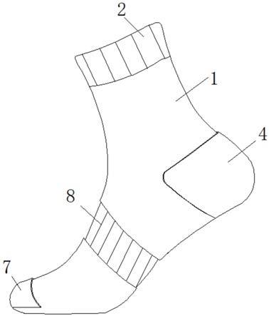 袜子结构示意图图片