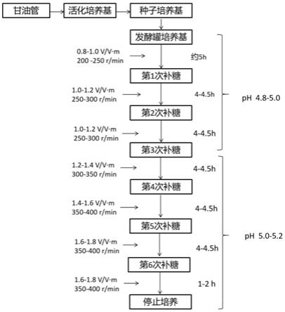 一种高密度发酵培养布拉迪酵母的方法与流程