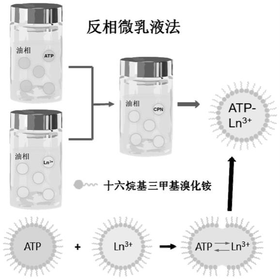 2011美洲杯决赛