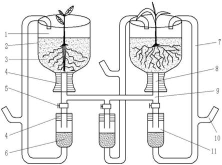 間作植物根系分泌物原位收集裝置的製作方法