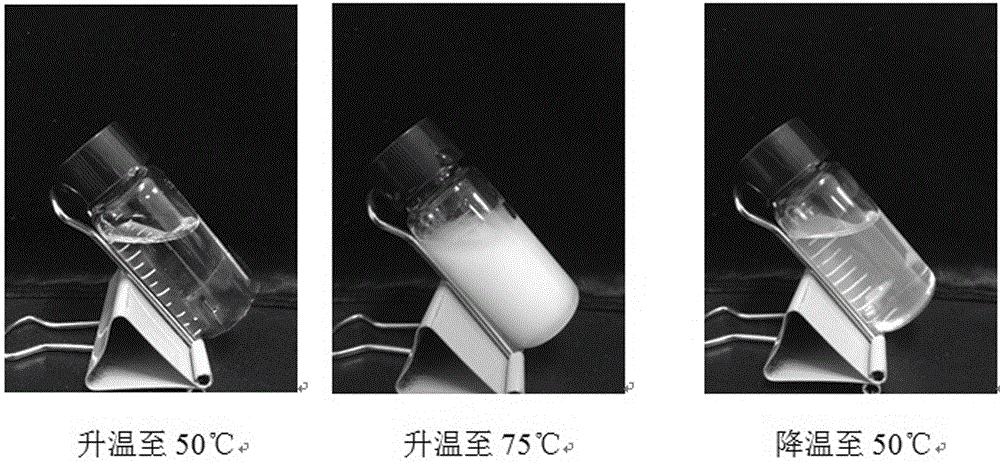 一種基於纖維素的溫敏型凝膠堵漏劑及其製備方法與流程