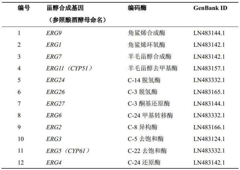 红发夫酵母图片