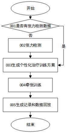 牵张训练名词解释图片