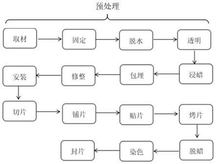 一种肿瘤组织连续病理切片的制作方法与流程