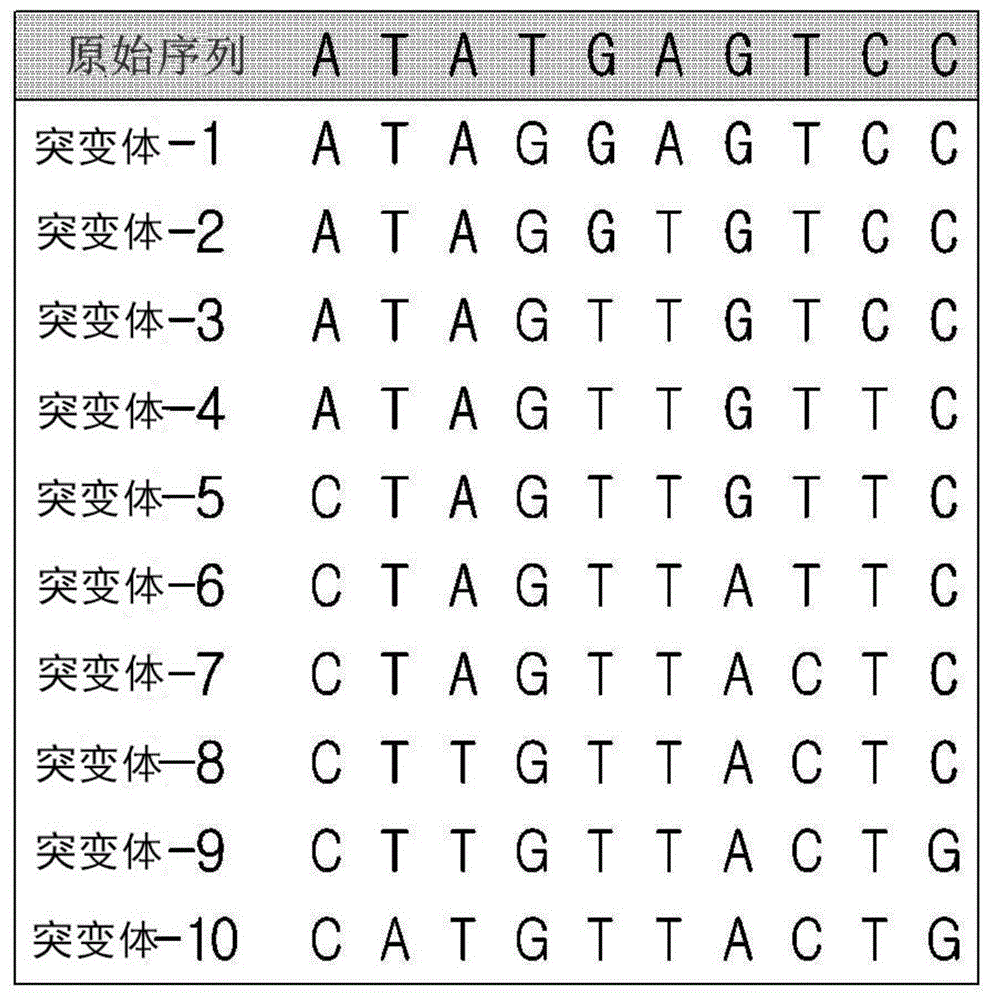 本发明涉及设计与用于检测多种核酸的生物标志物结合的单核苷酸序列