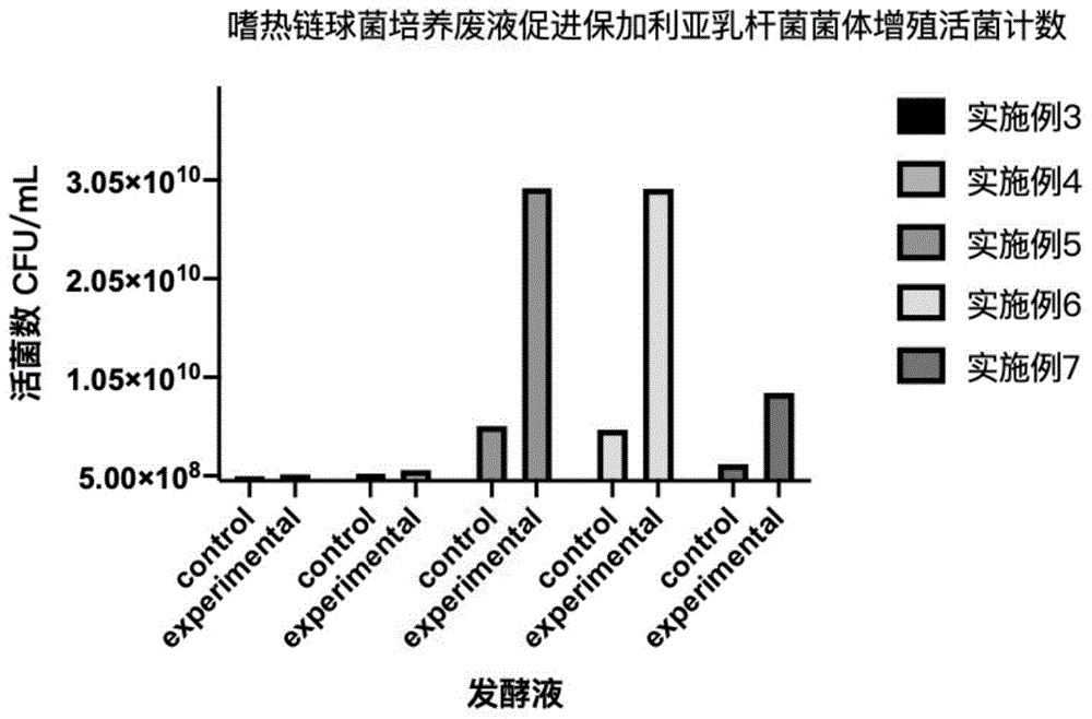 高密度保加利亞乳桿菌的發酵培養基及發酵方法和應用與流程