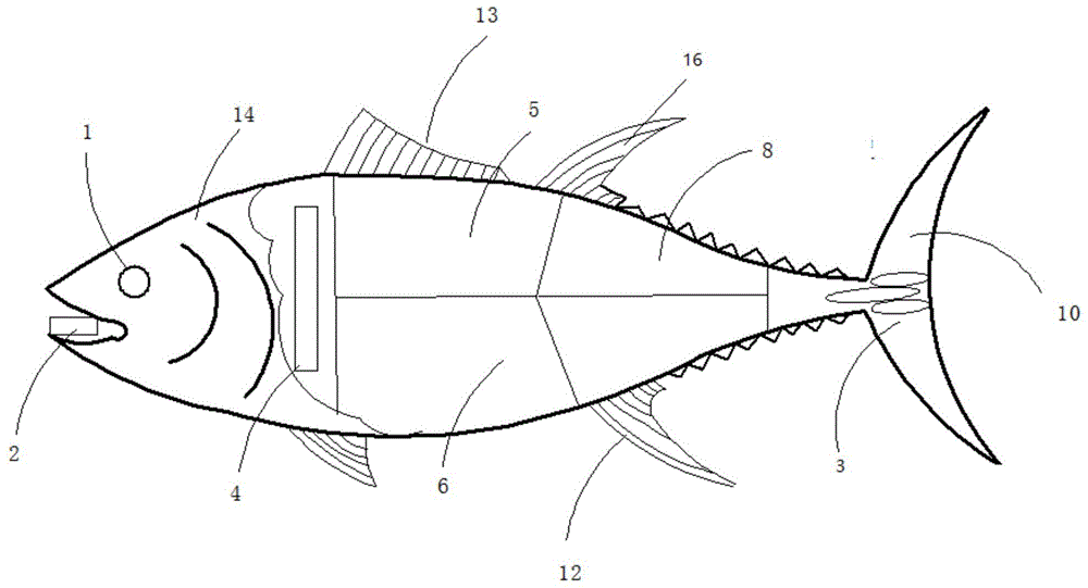 仿生机械鱼结构简图图片