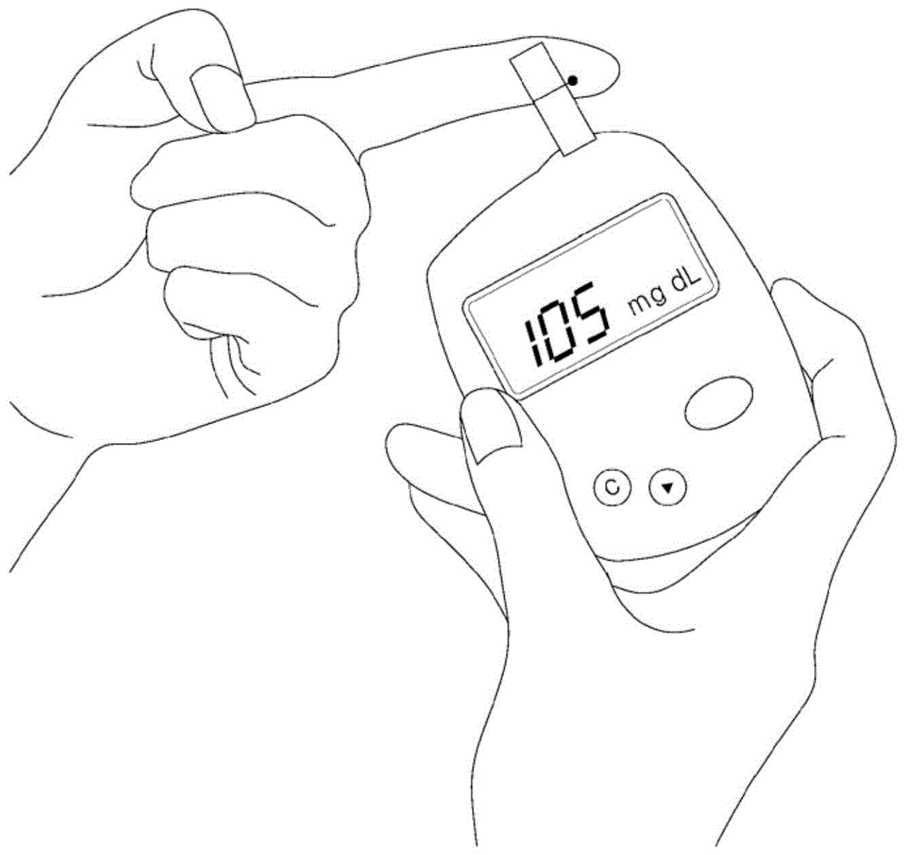 血糖测量仪和使用该血糖测量仪的血糖测量系统