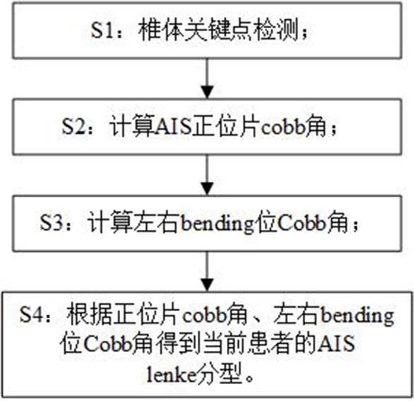 lenke 分型是青少年特发性脊柱侧弯诊断中常用的一种分型技术