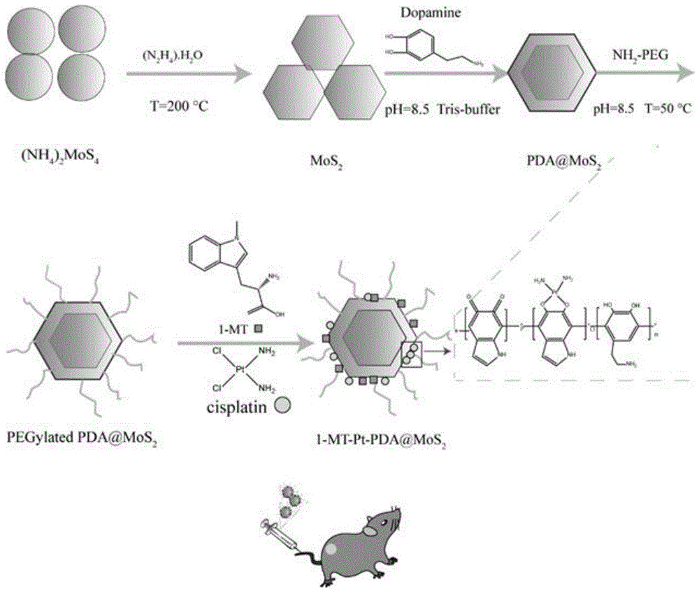 一种聚多巴胺包裹的载药二硫化钼纳米片及其制备和应用