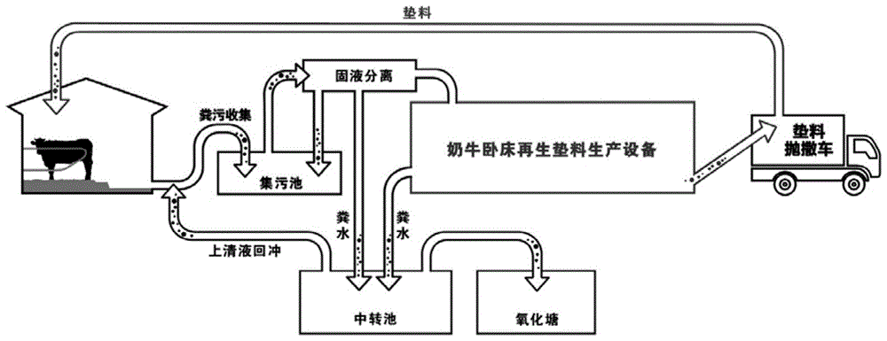 养牛场漏粪设计图片